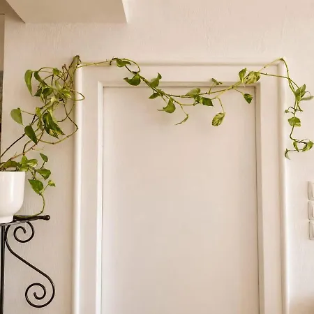 Ultracentral Vintage 3br Apartament *